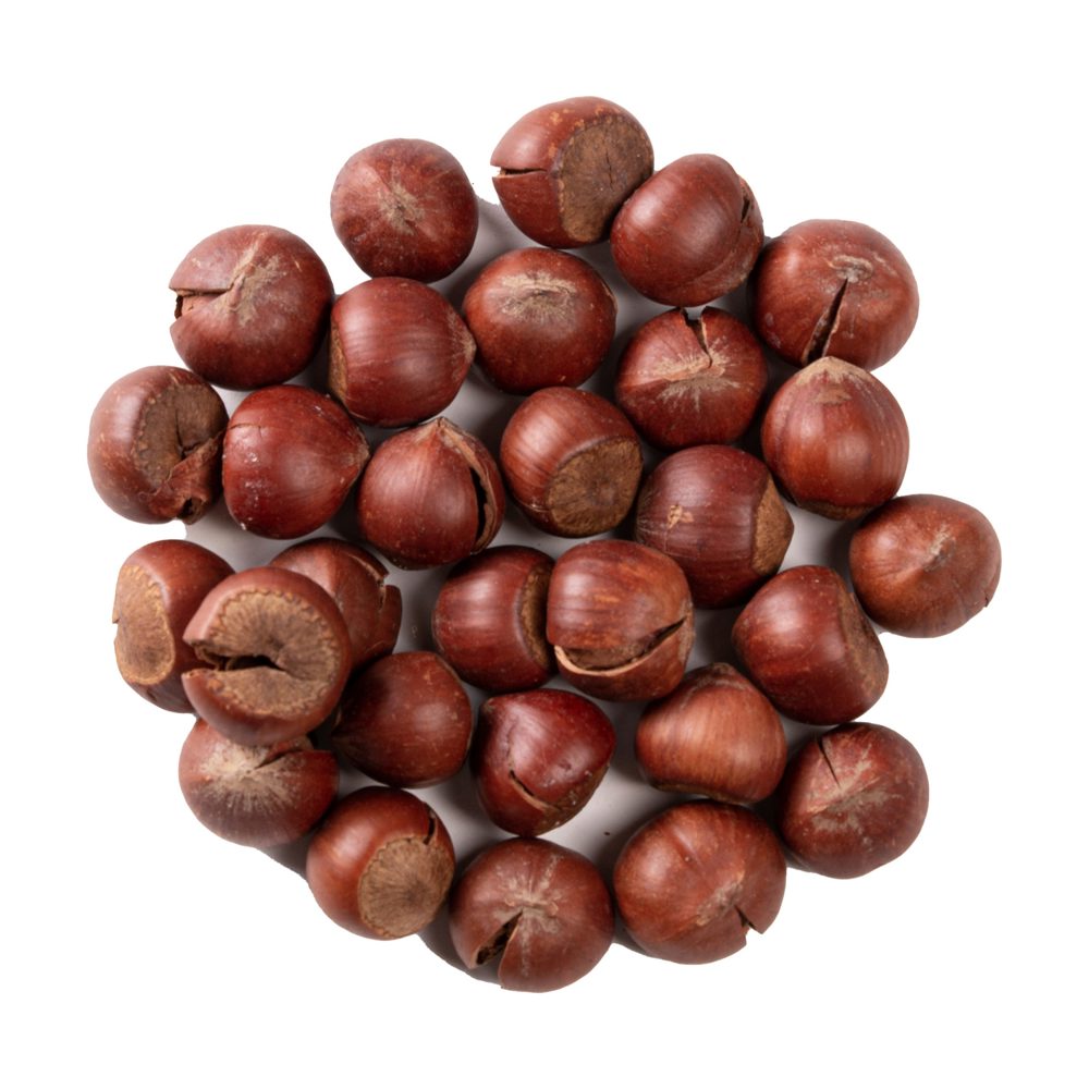فندوق با پوست شور
