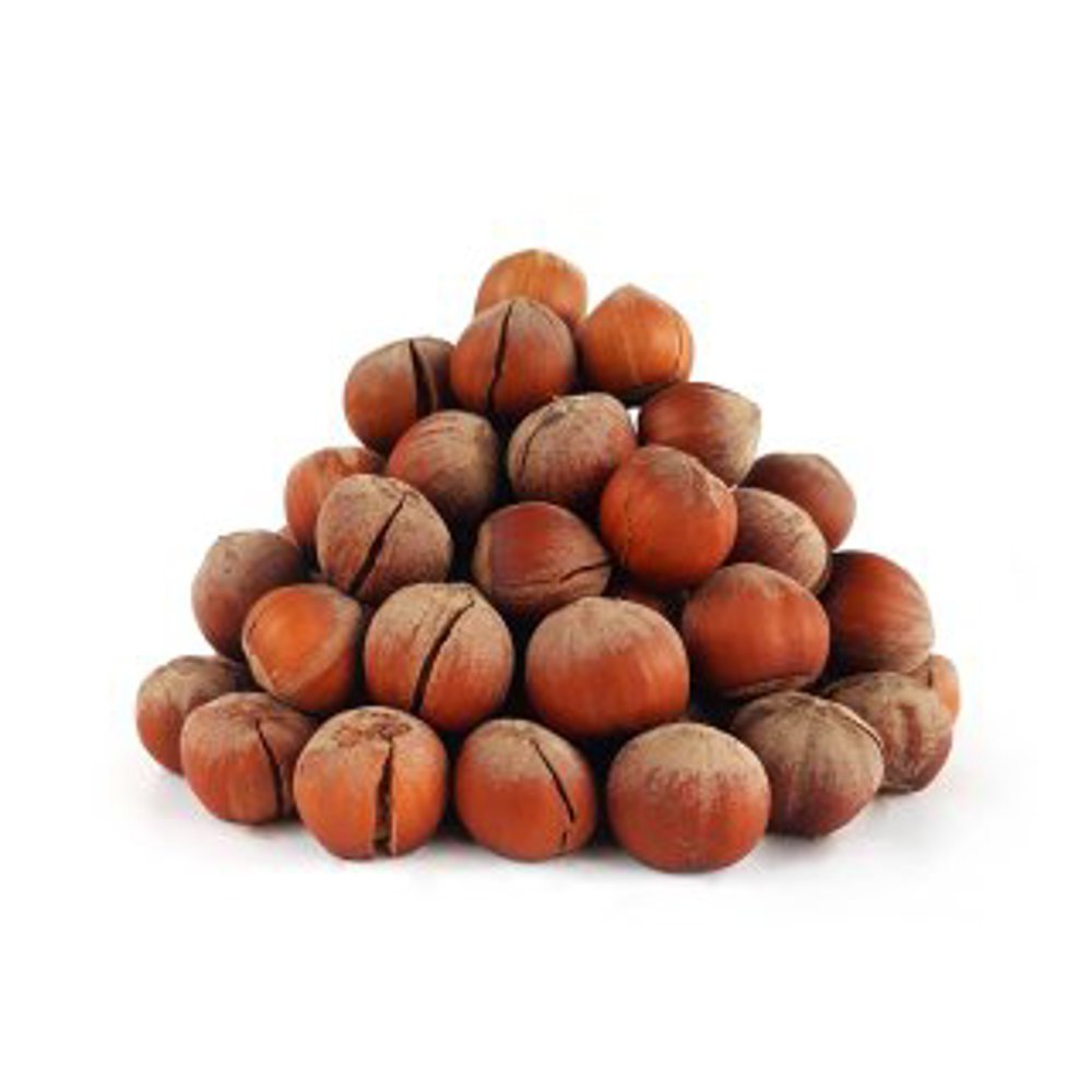 فندوق بو داده
