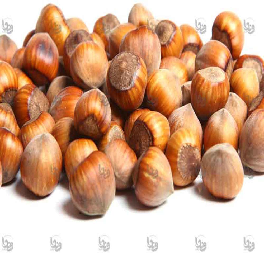 فندوق با پوست شور