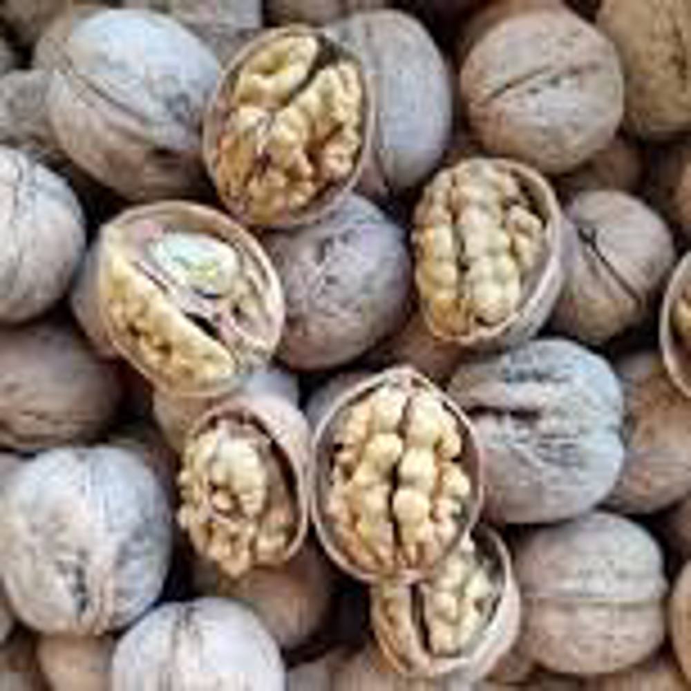 گردو با پوست