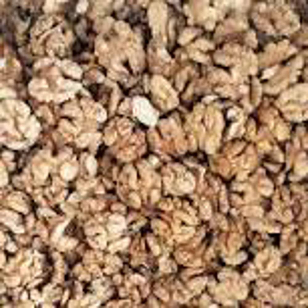 مغز گردو